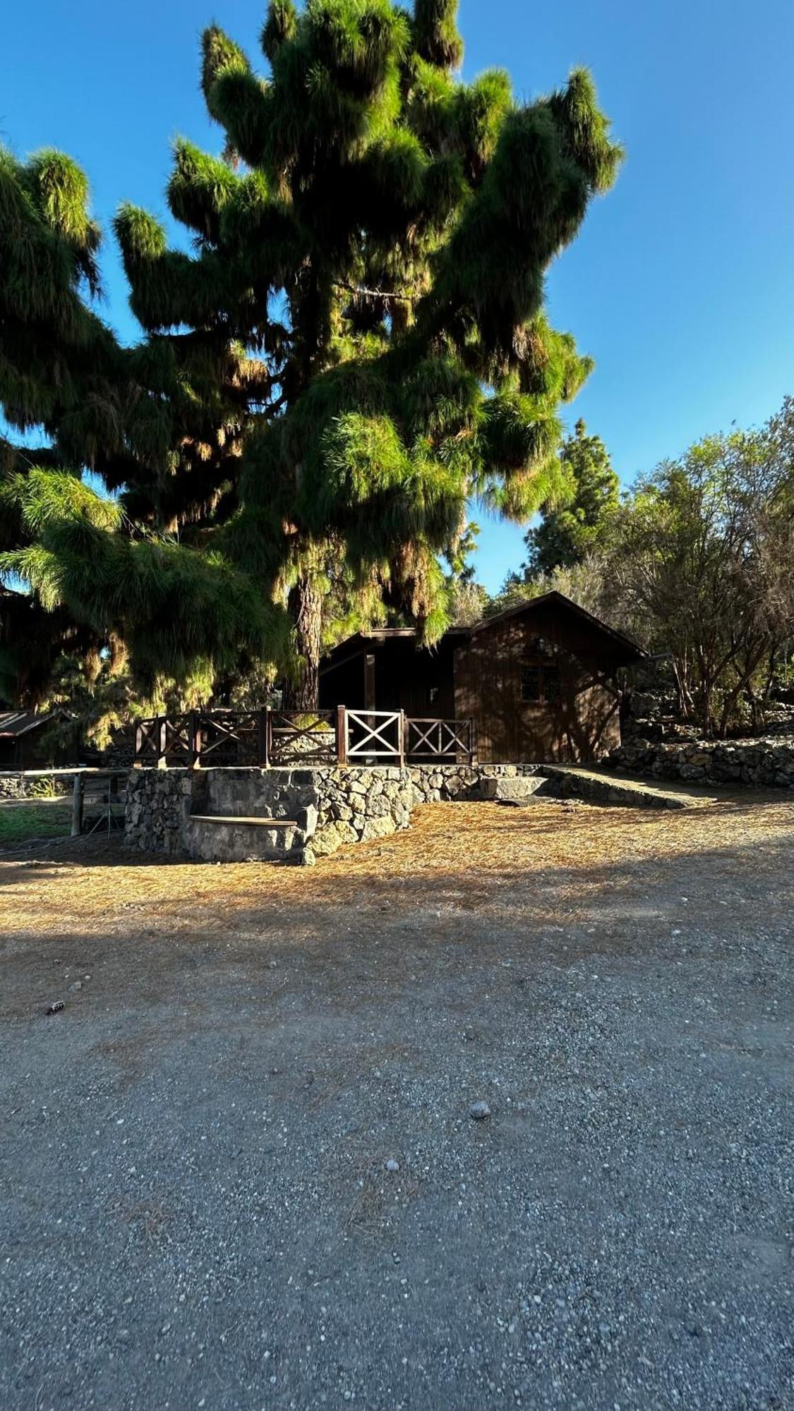 Villa Buen Paso Icod De Los Vinos Exterior foto
